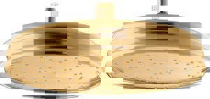 Single Function Showerhead in Vibrant Brushed Moderne Brass